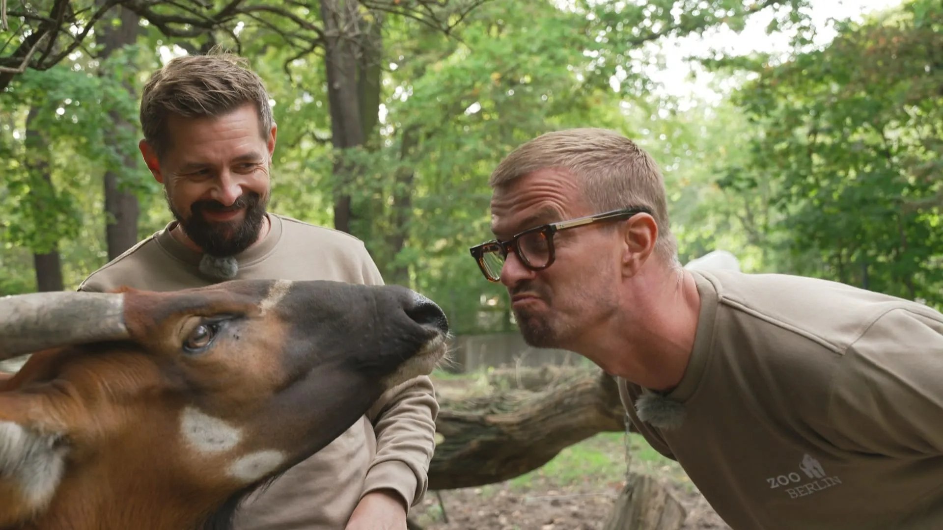 Joko & Klaas im Zoo