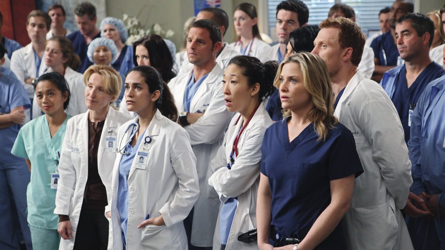 Grey's Anatomy Season 6 :Episode 13  State of Love and Trust