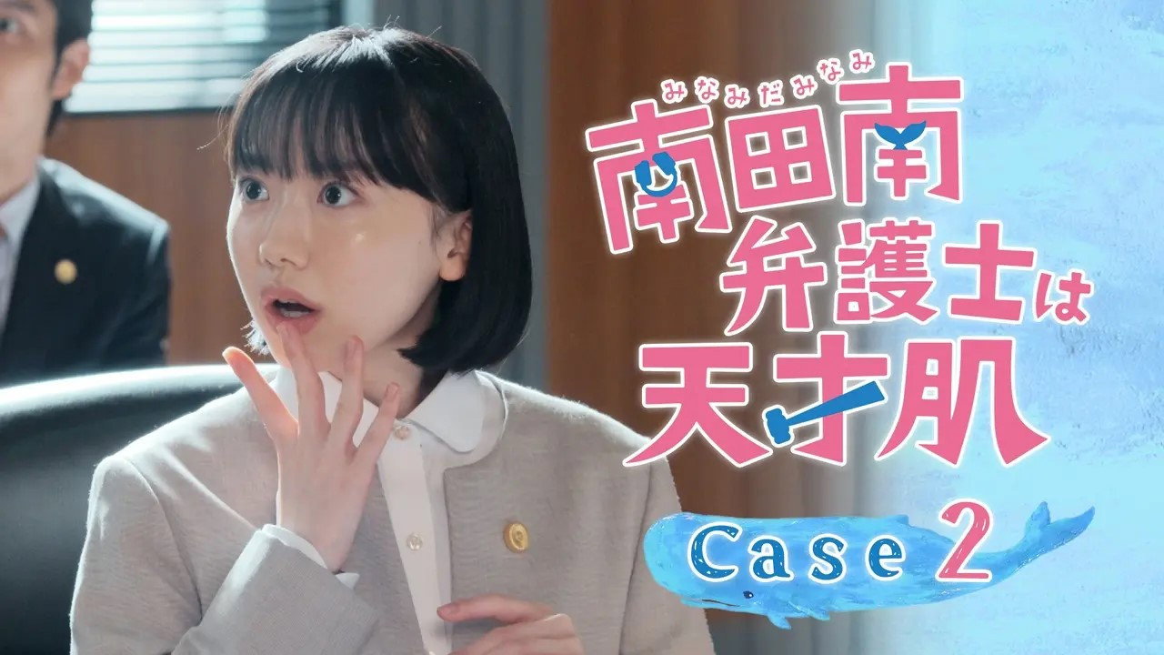 Extraordinary Attorney Minami