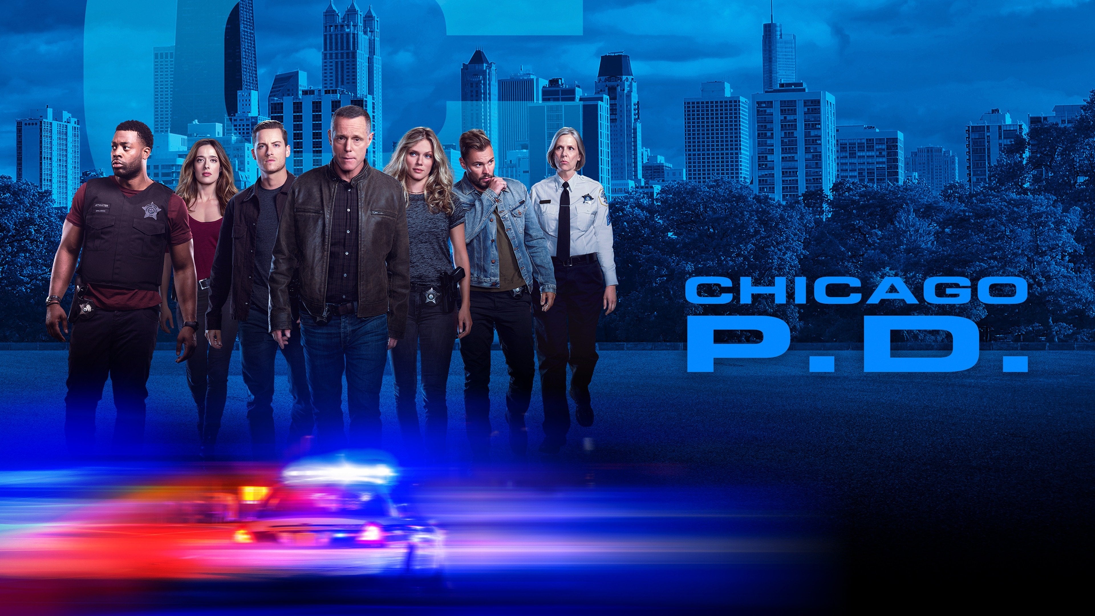 Policie Chicago - Season 4