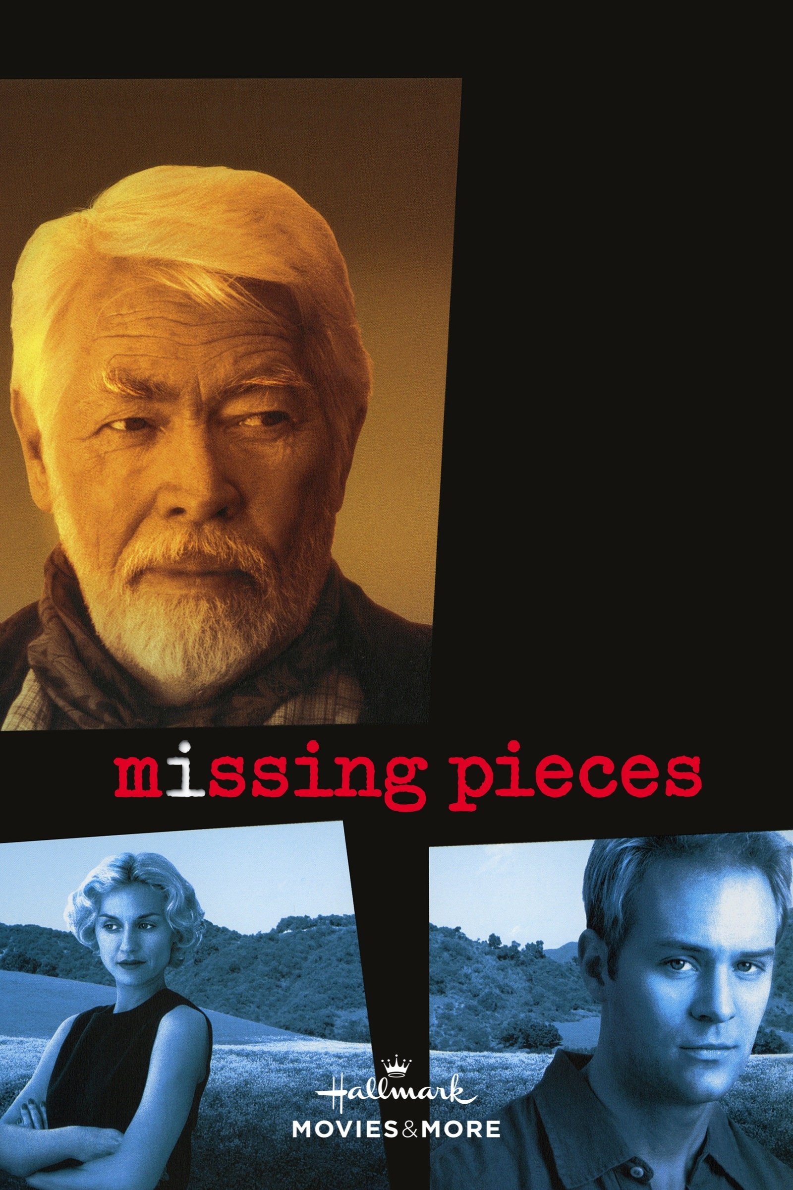 Missing Pieces