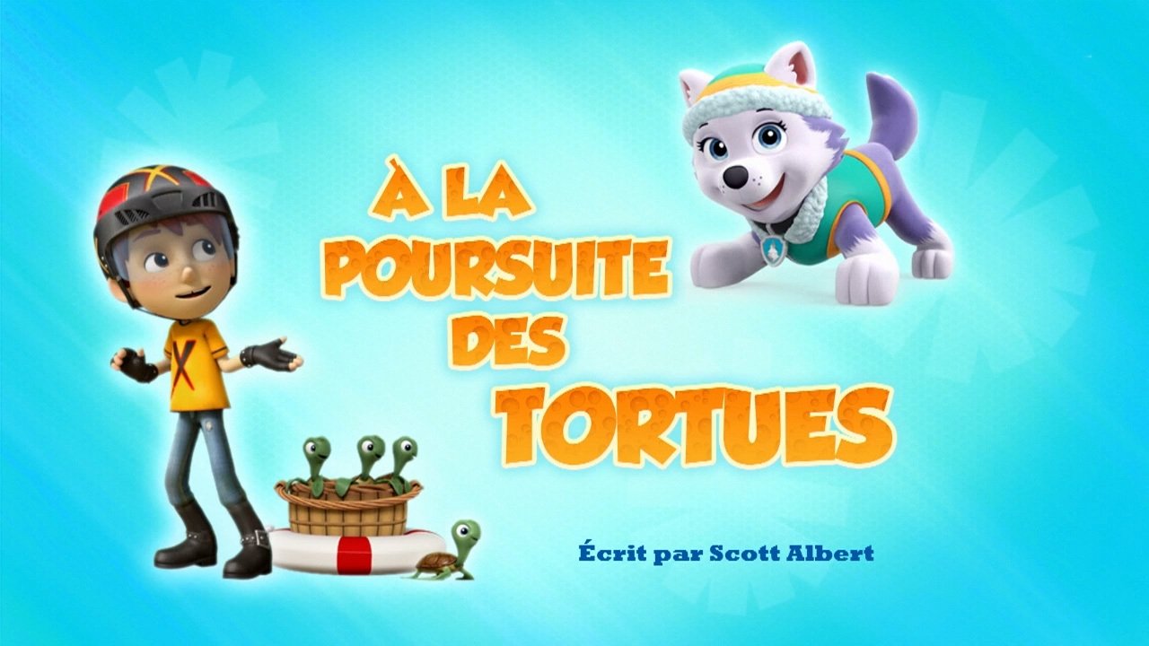 La Pat' Patrouille - À la poursuite des tortues