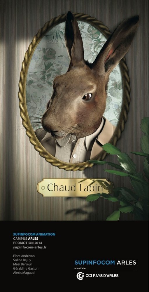 Affiche du film Chaud Lapin 14540