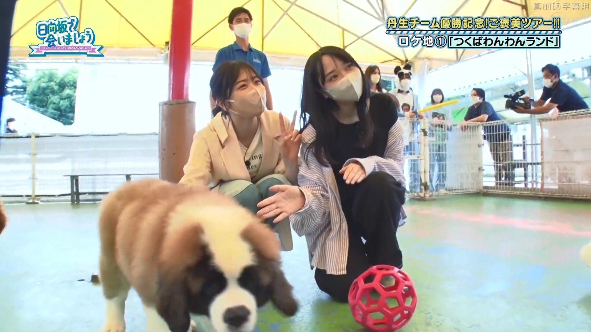 Let's Meet at Hinatazaka