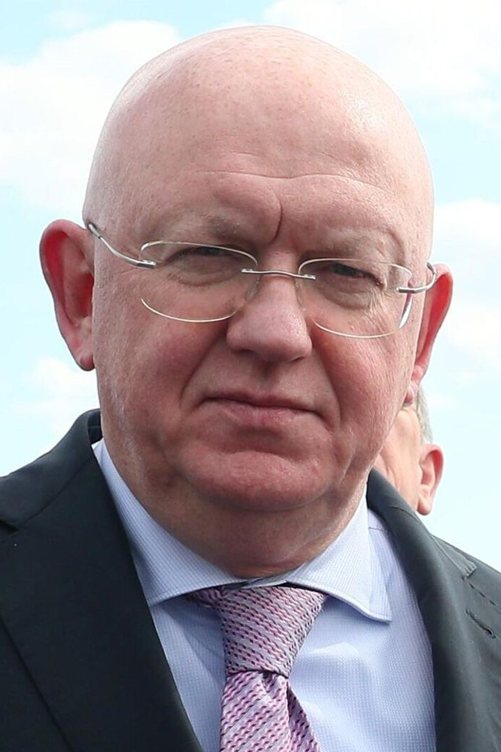 et billede af Vasily Nebenzya