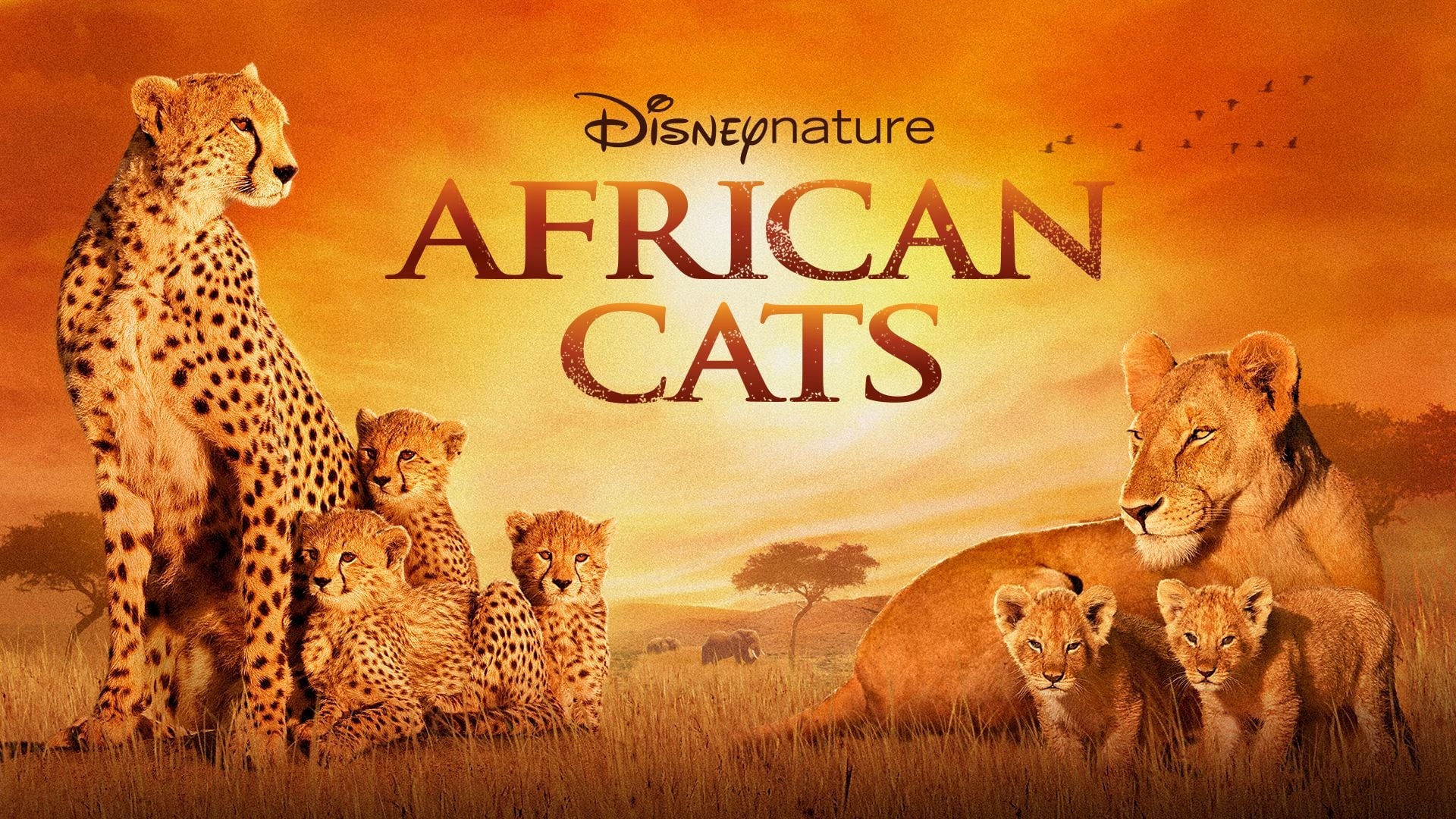 African Cats (2011)