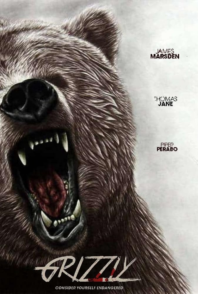 Into the Grizzly Maze