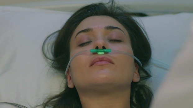 Kanatsız Kuşlar