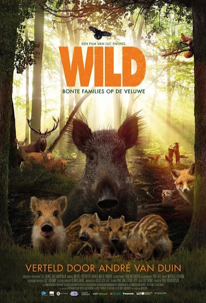 Wild op De Veluwe