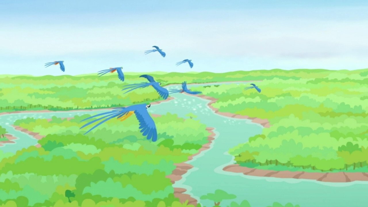 Wild Kratts - Épisode 10