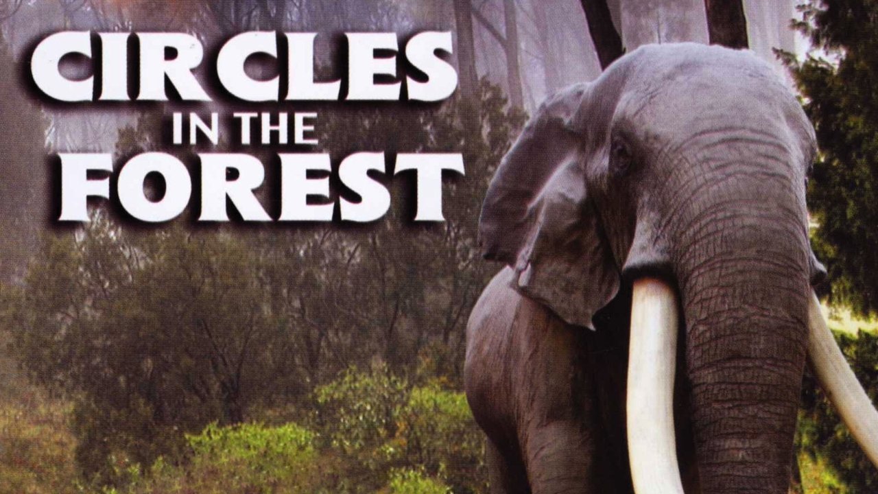 Circles in a Forest (1989)