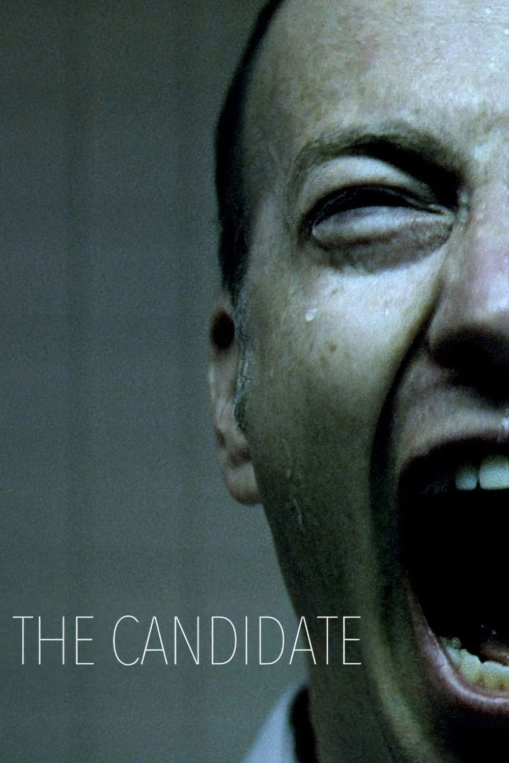 The Candidate movie poster - movieMx The Candidate (2011) movie poster