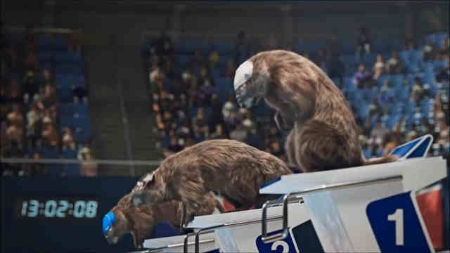Les Marmottes - Natation