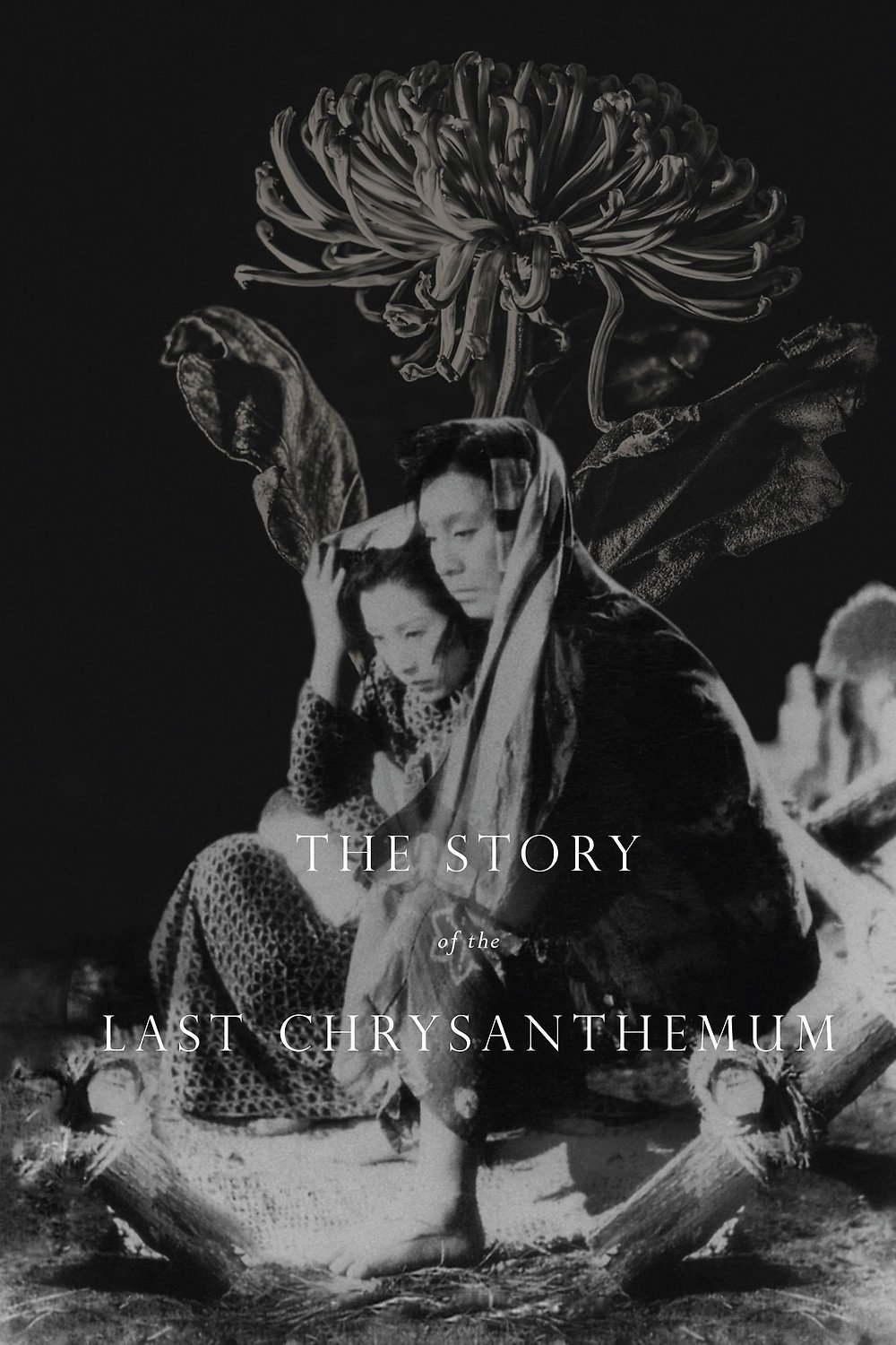 The Story of the Last Chrysanthemum