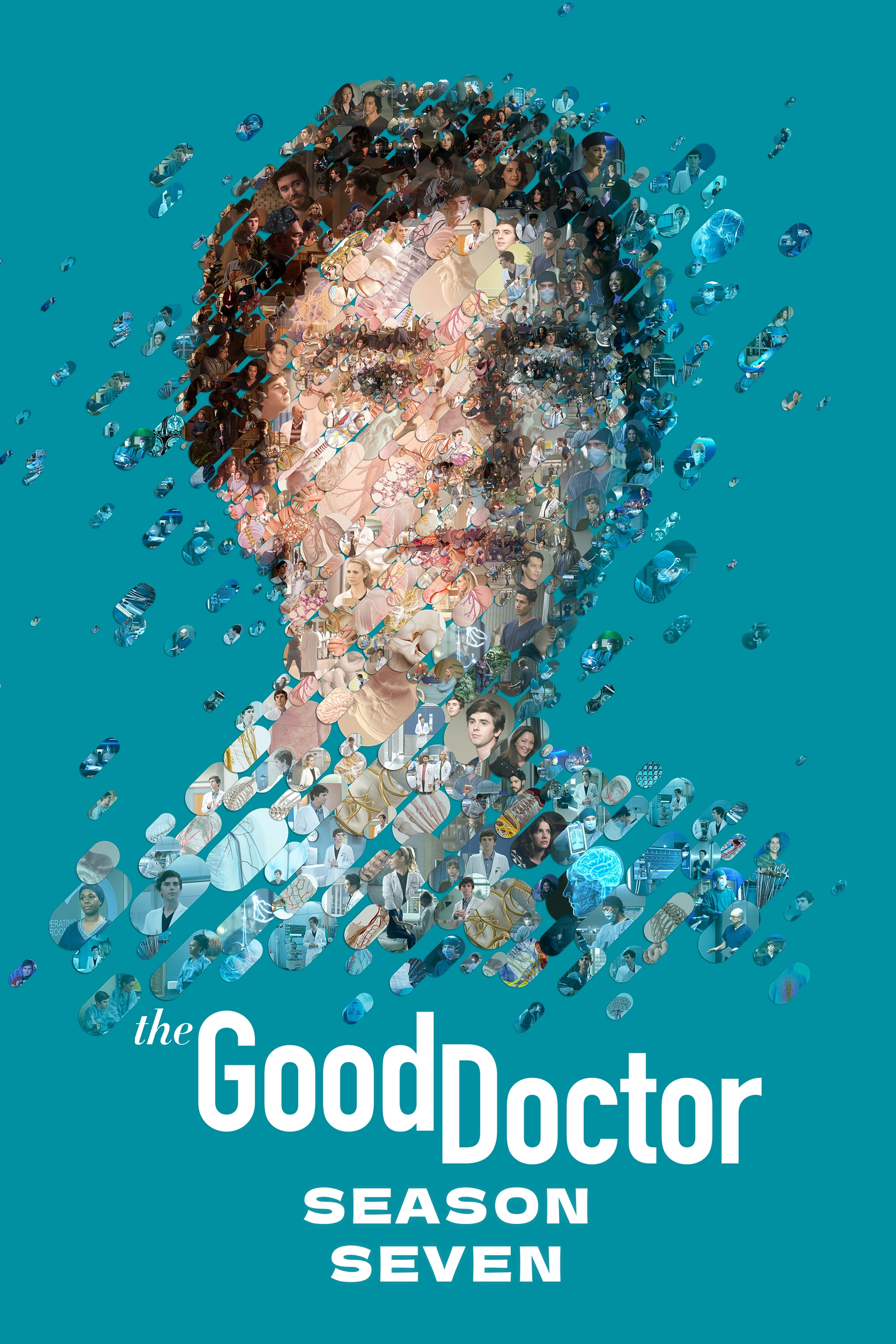 The Good Doctor Season 7
