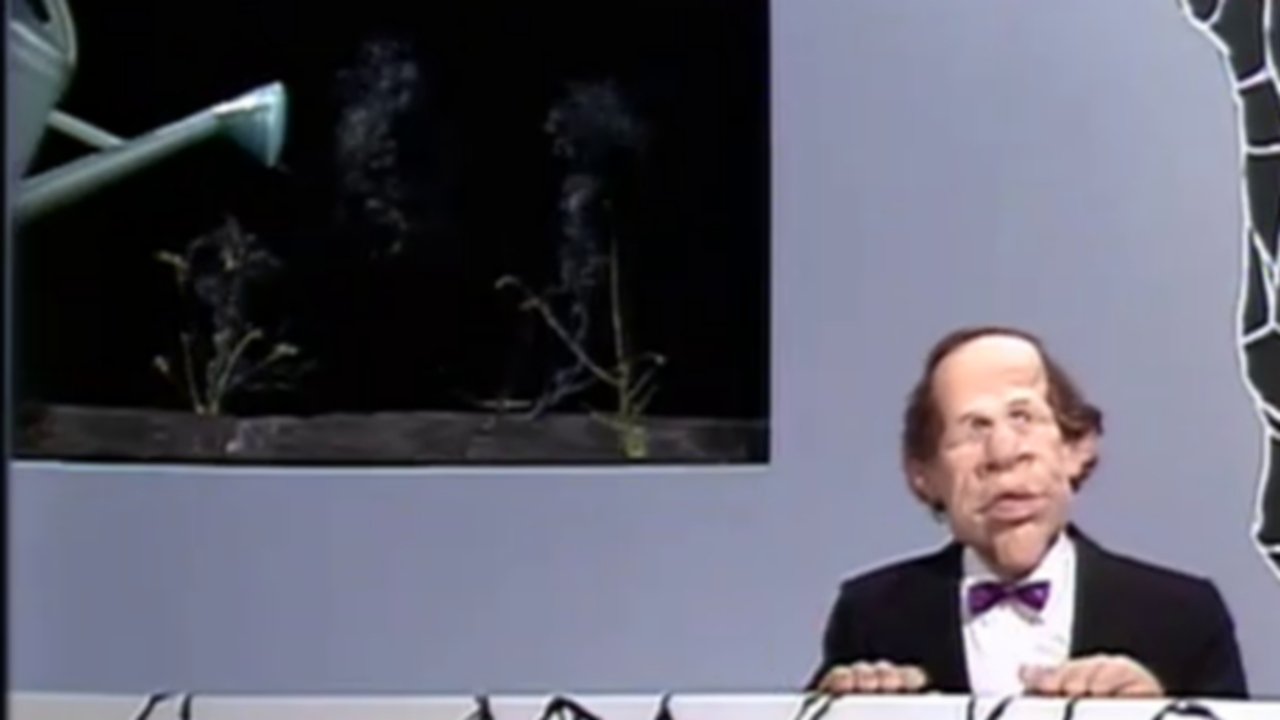 Les Guignols de l'info