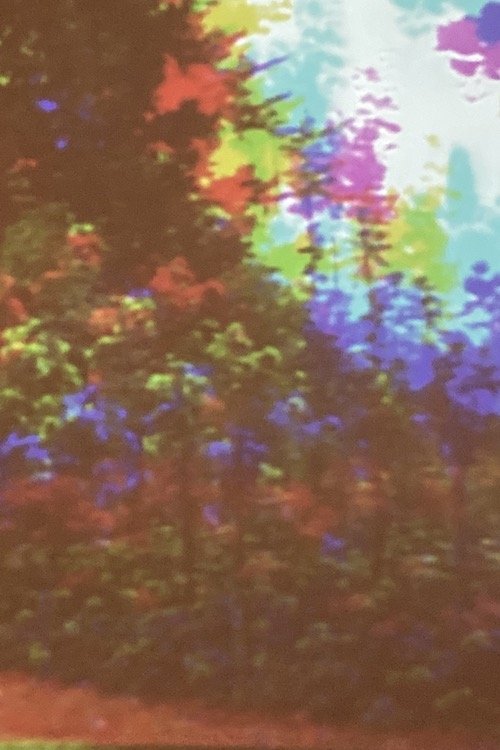 Content cover