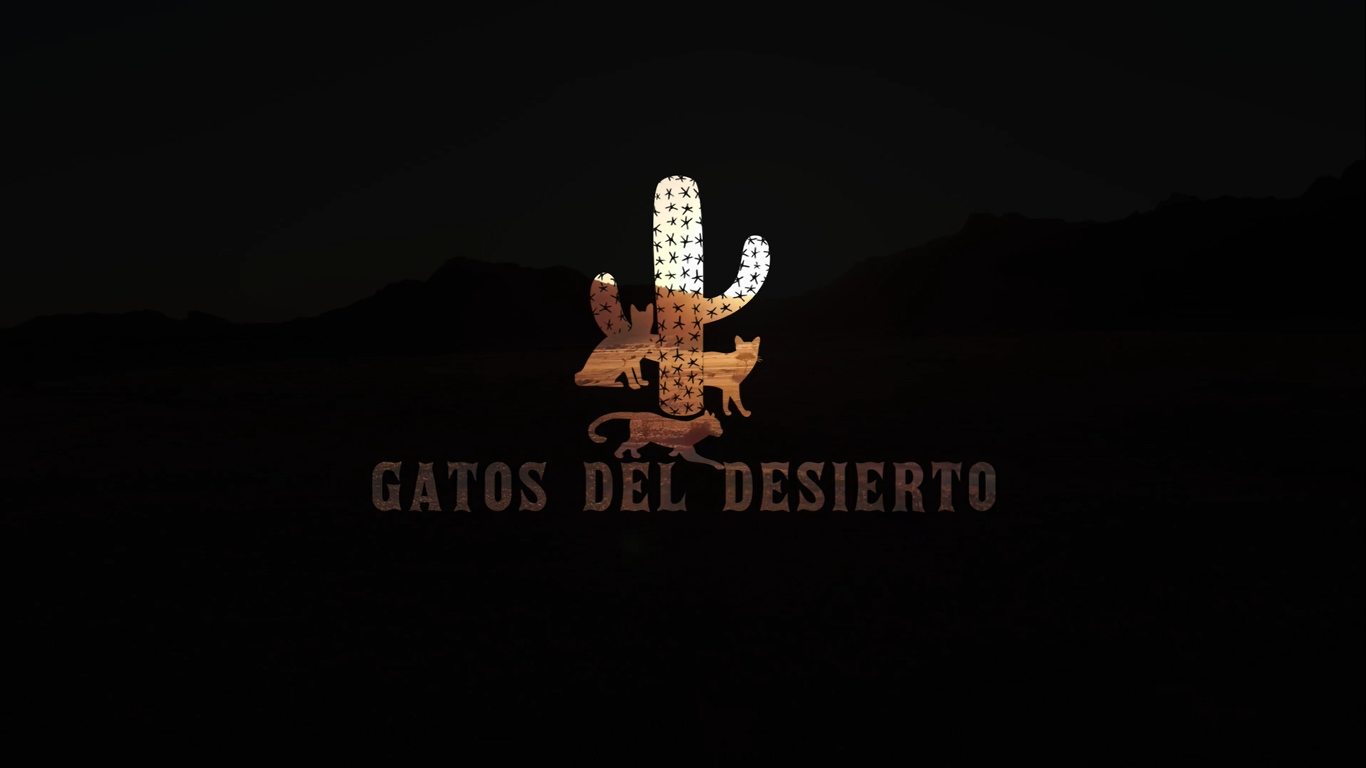 Gatos Del Desierto
