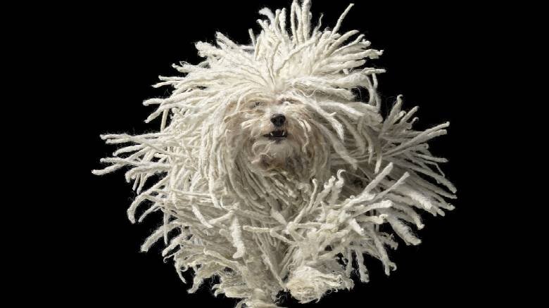 Thumbnail for Tim Flach Season 1 Episode 2