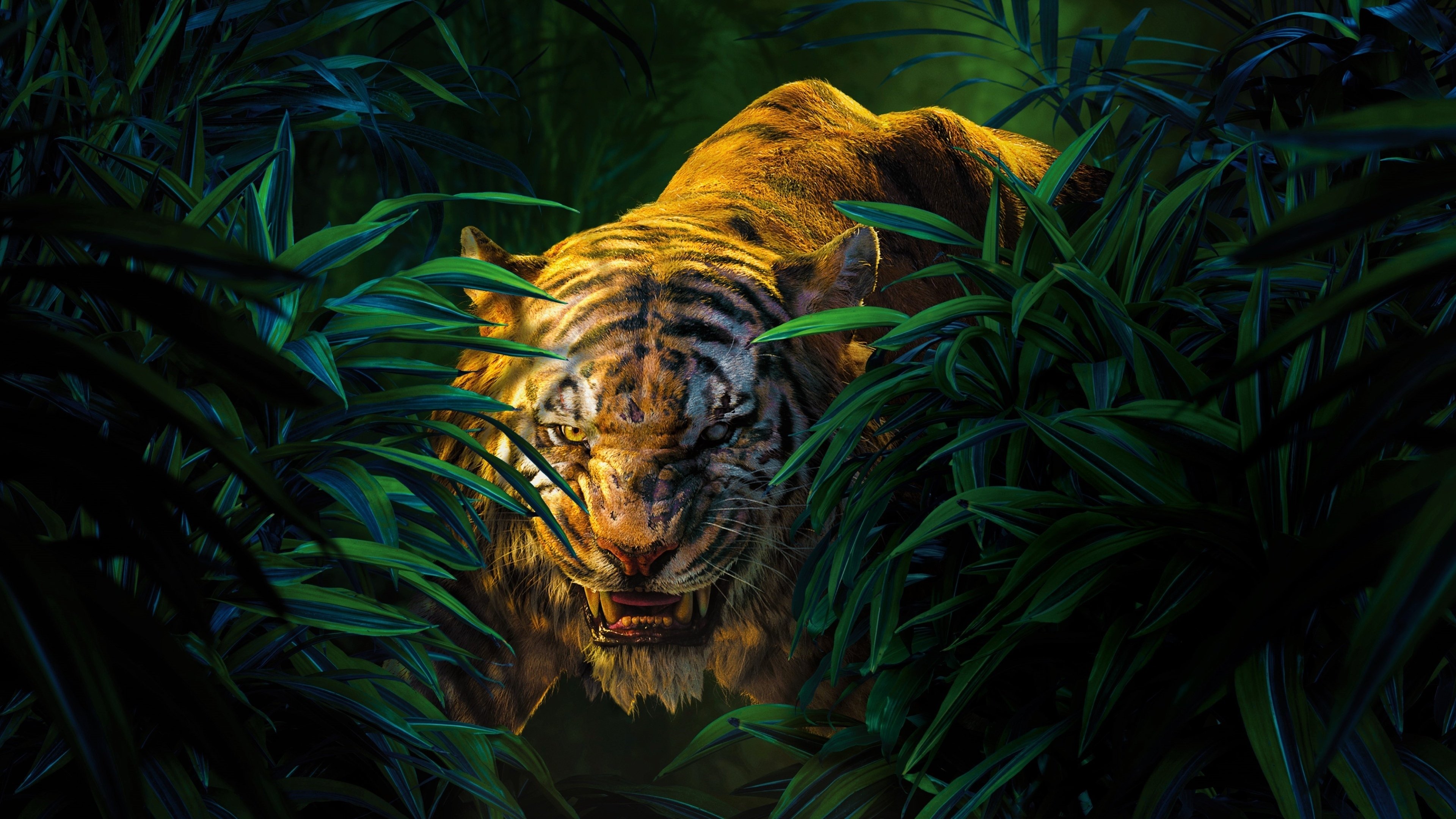 Image du film Le Livre de la jungle wc3r8chaakc9nvouwtchcnt1xmjpg