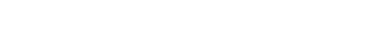 The Lady's Companion