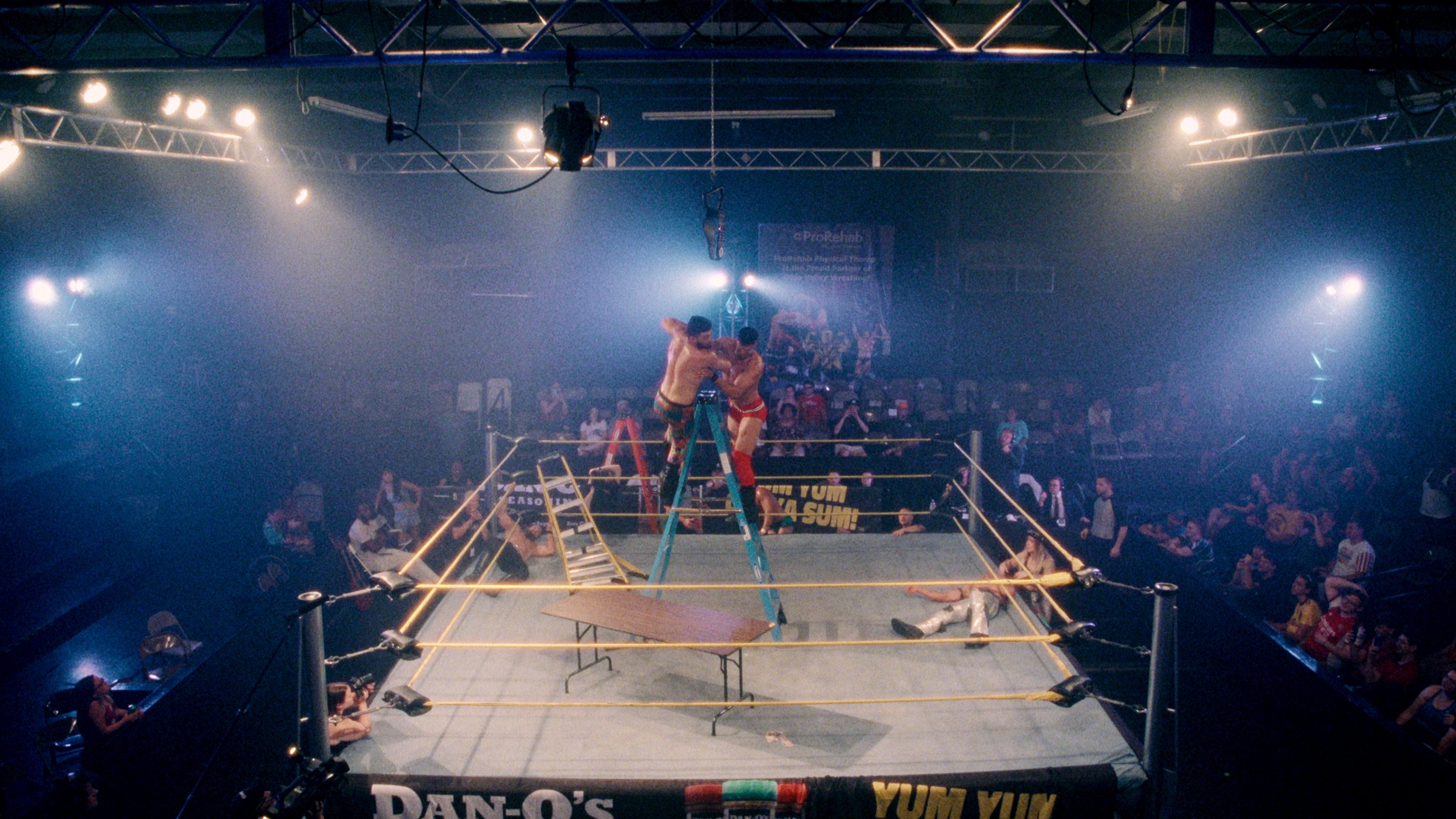 Wrestlers
