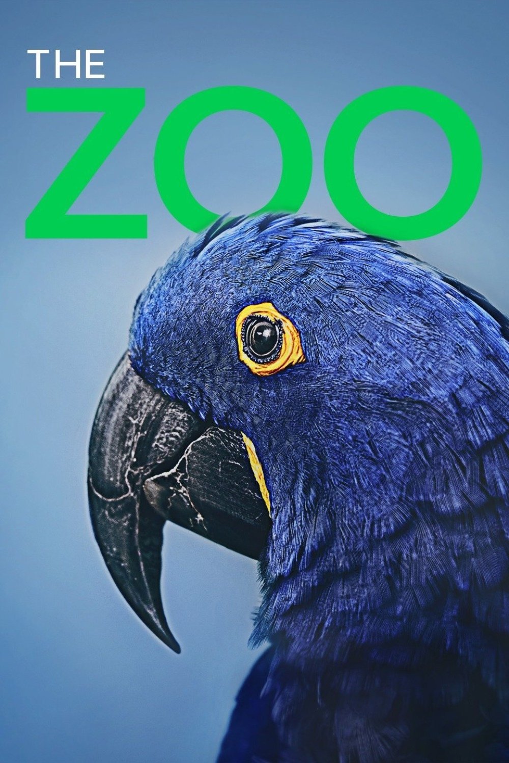 The Zoo Poster