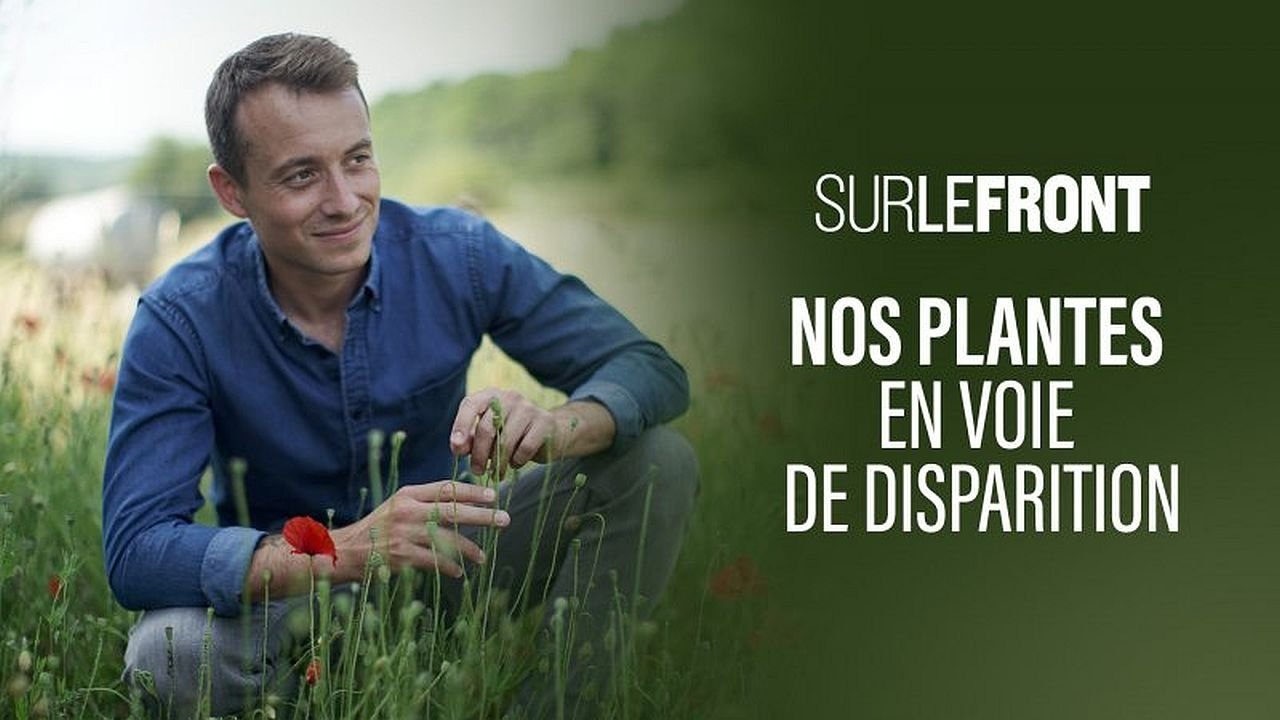 Sur le front - Nos plantes en voie de disparition