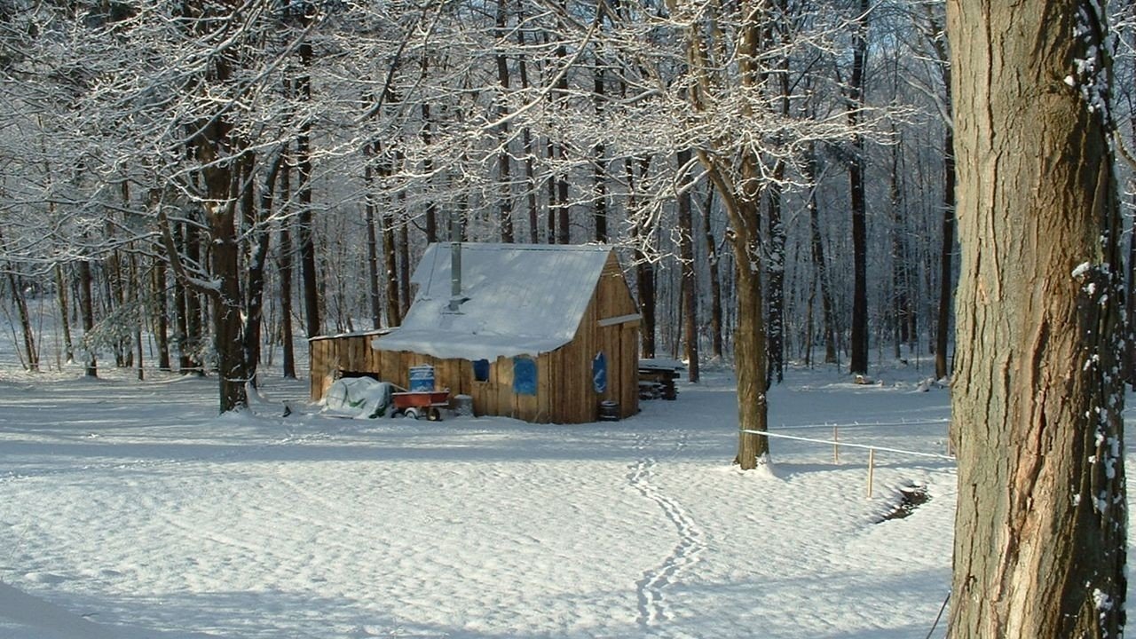 Snow Collection
