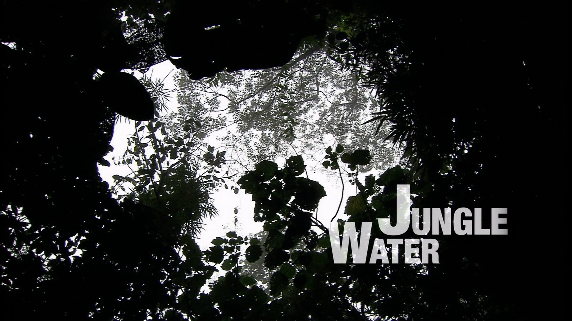 Thumbnail for Jungle Water Season 1 Episode 13