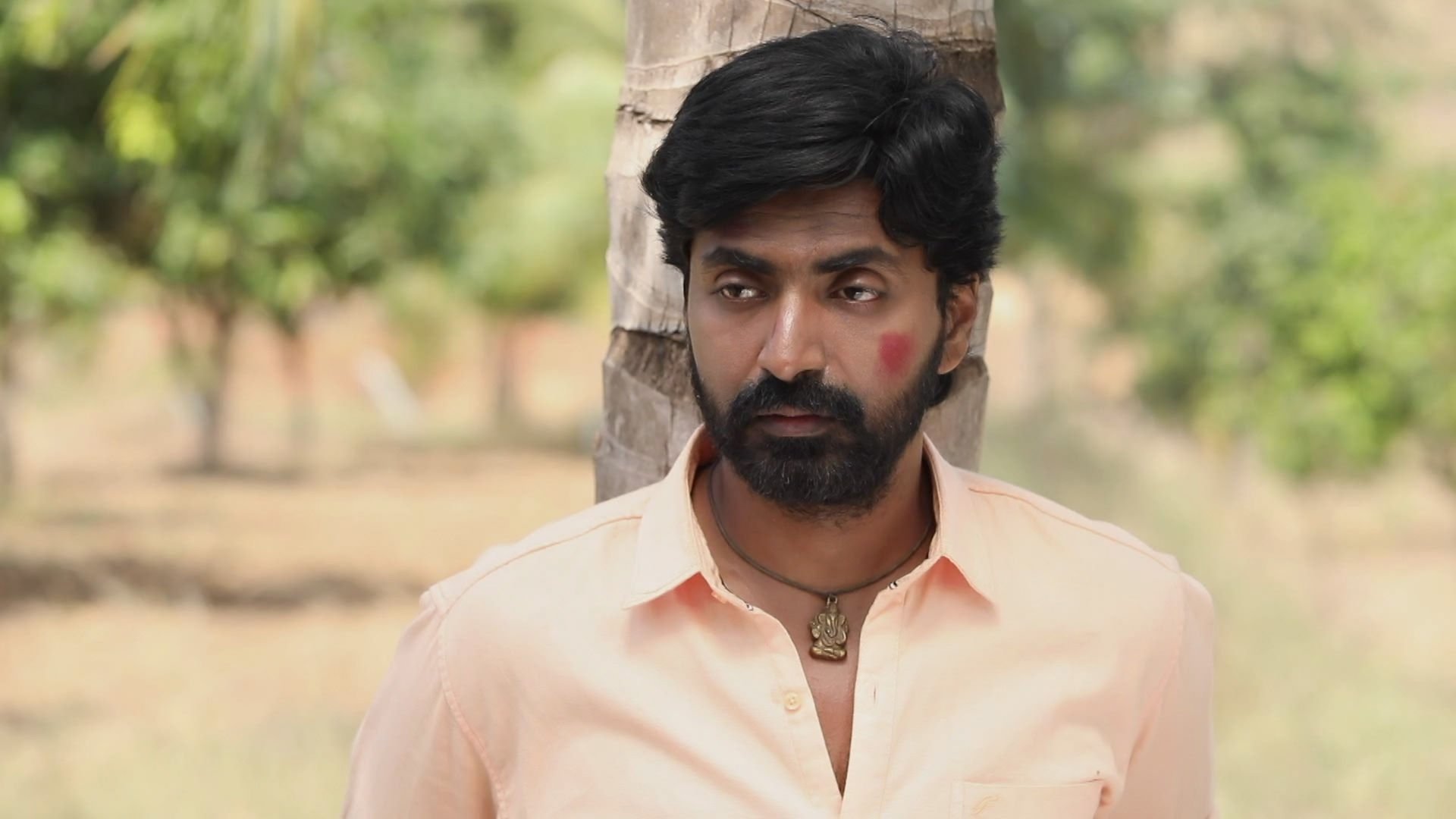Chinna Thambi