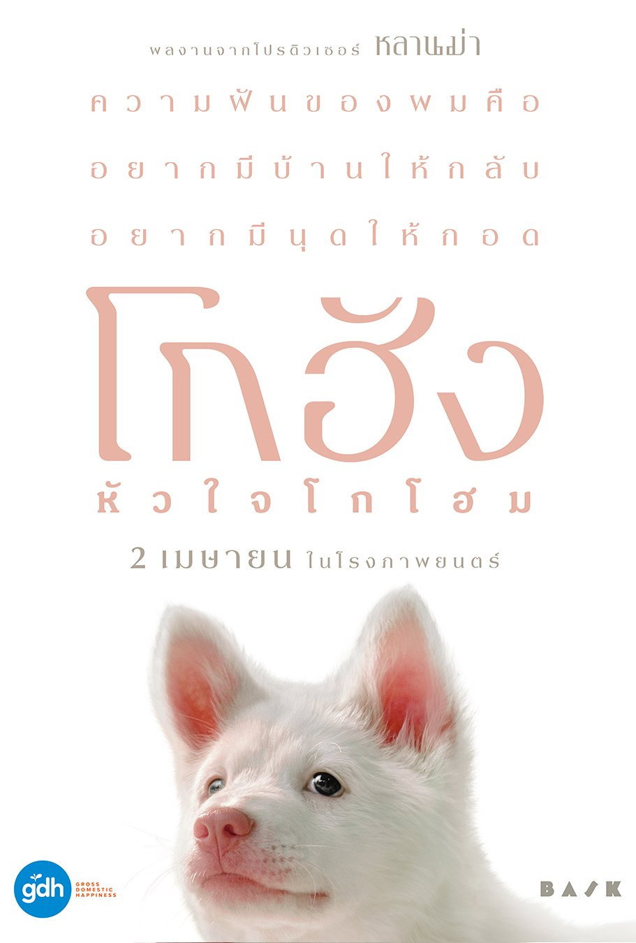 Ảnh 41