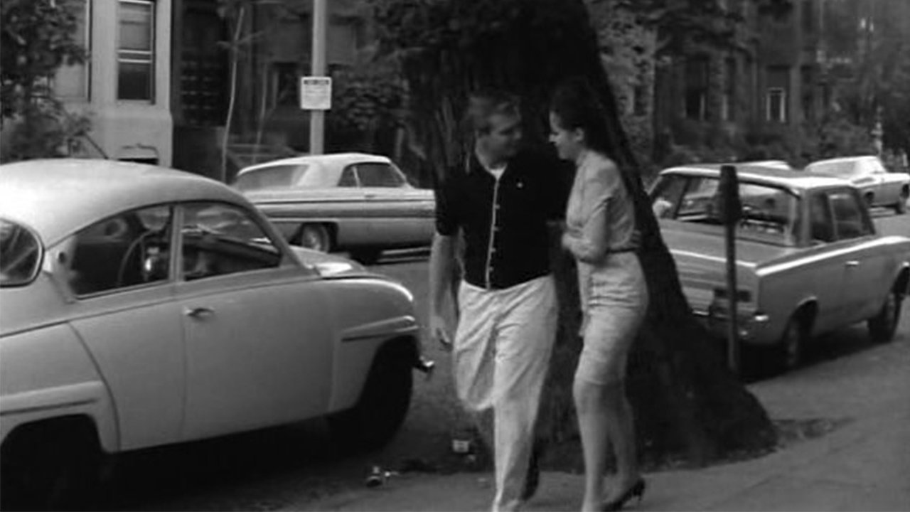 Kitten in a Cage (1968)