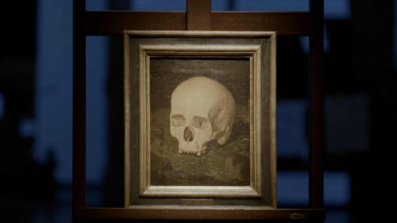 Goya's Skull