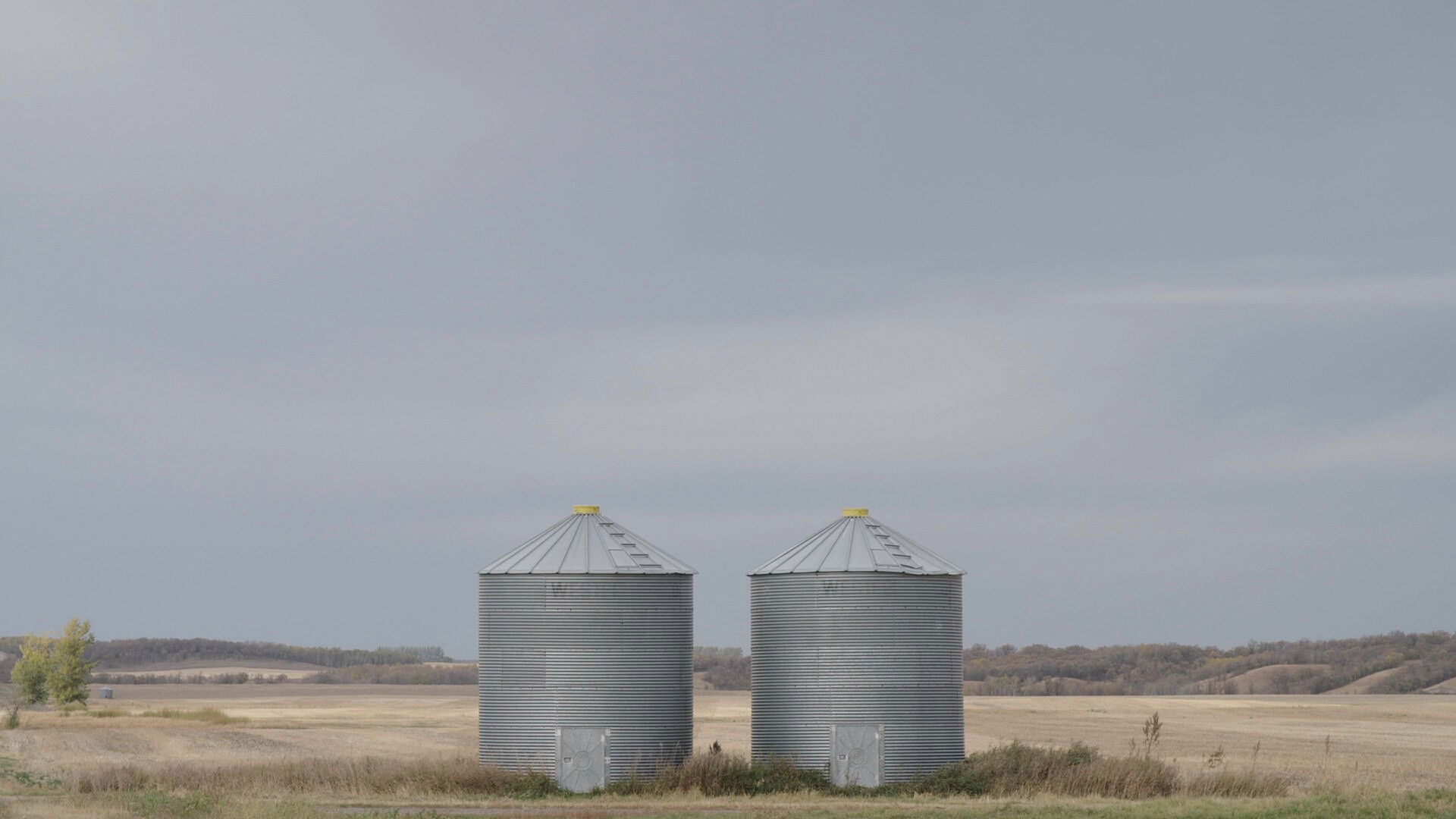 Farm Crime S02E04 backdrop