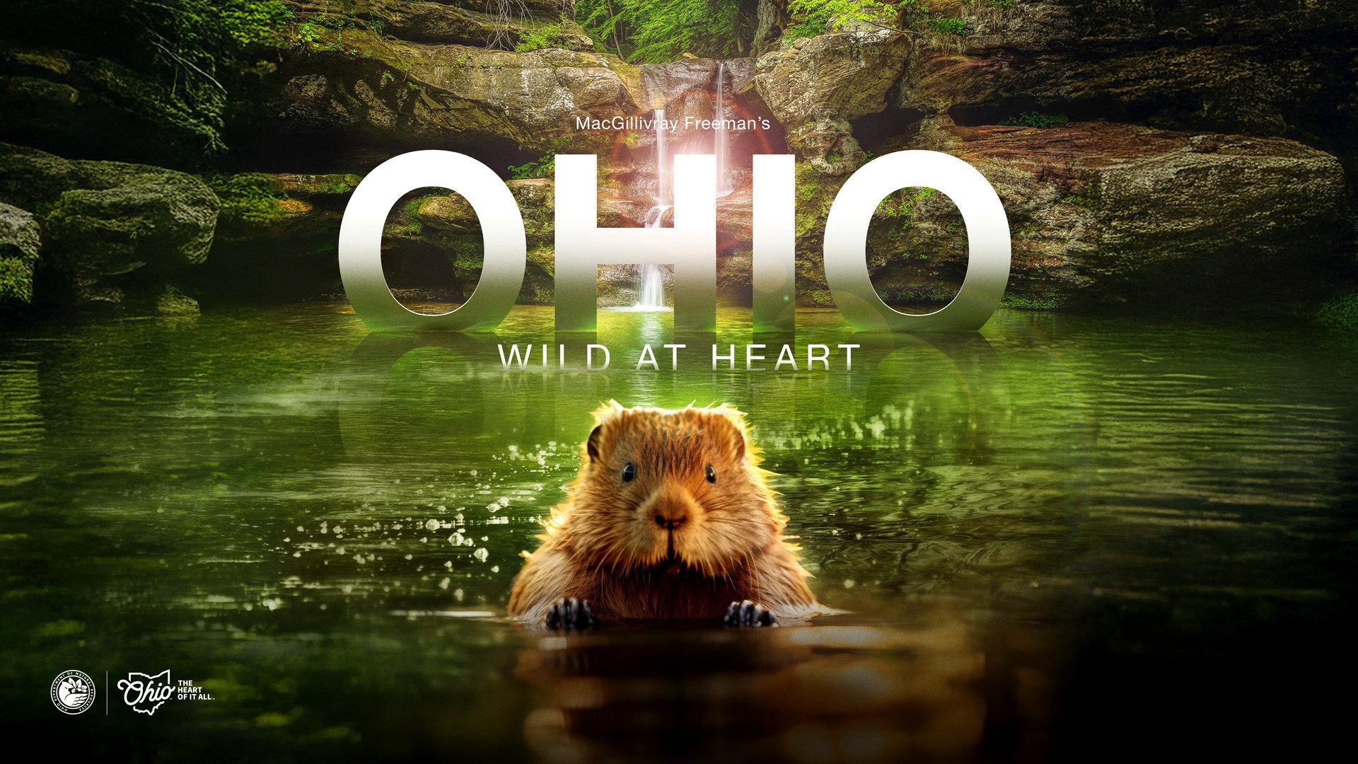 Ohio: Wild at Heart