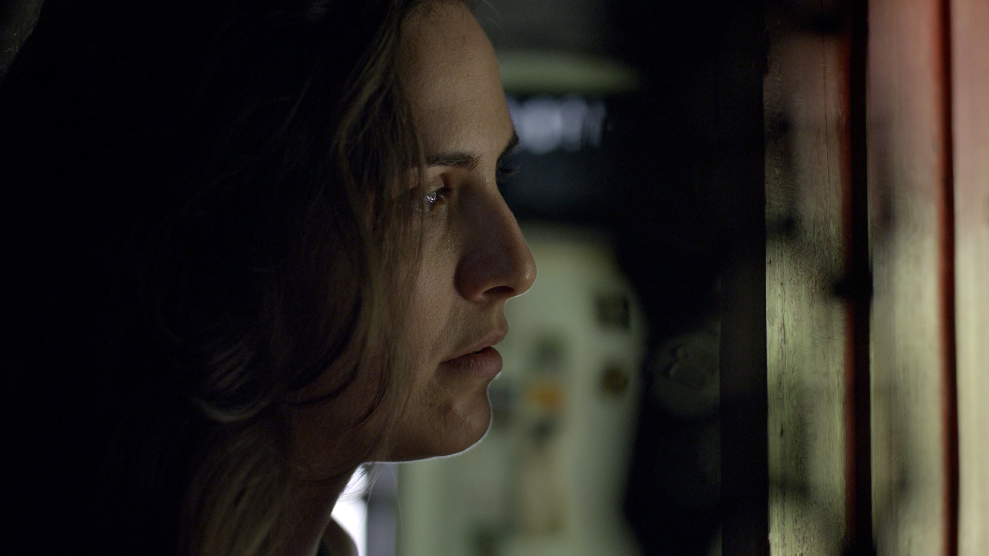 Refugiado (2014)