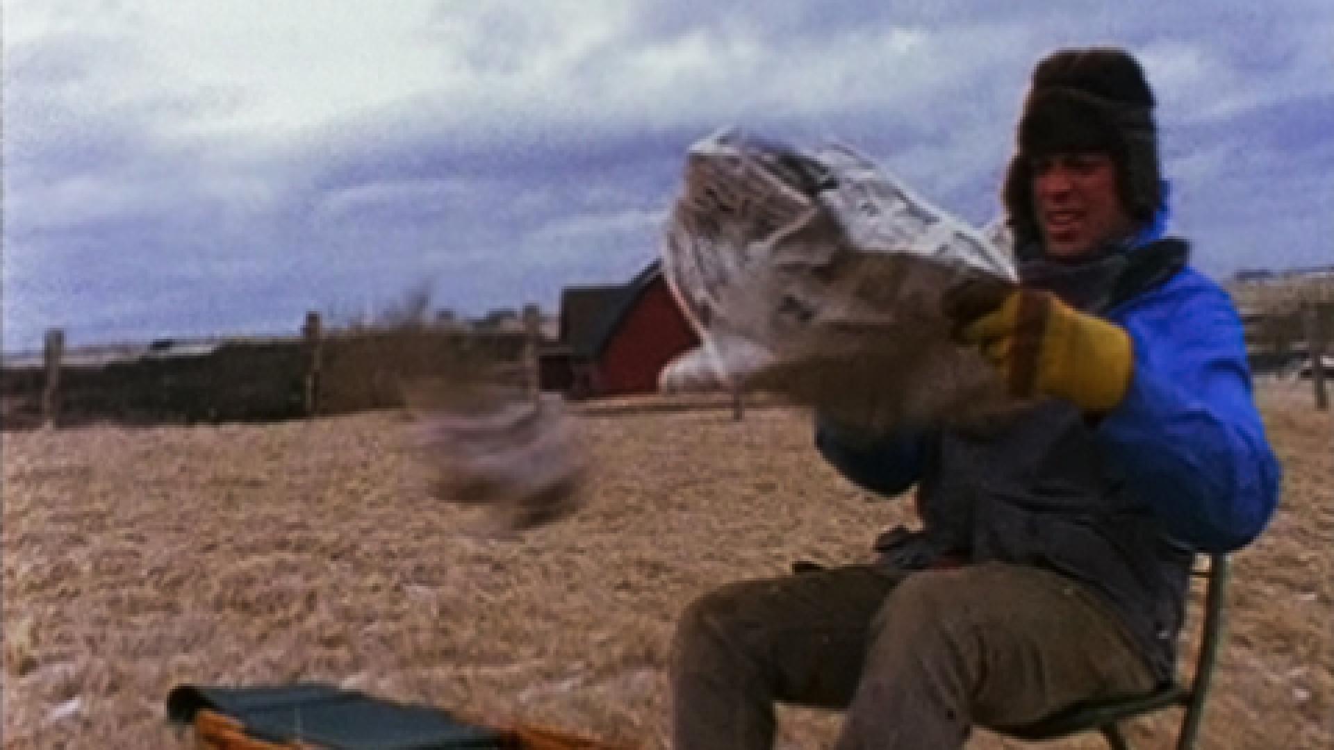 Suêtes (1999)