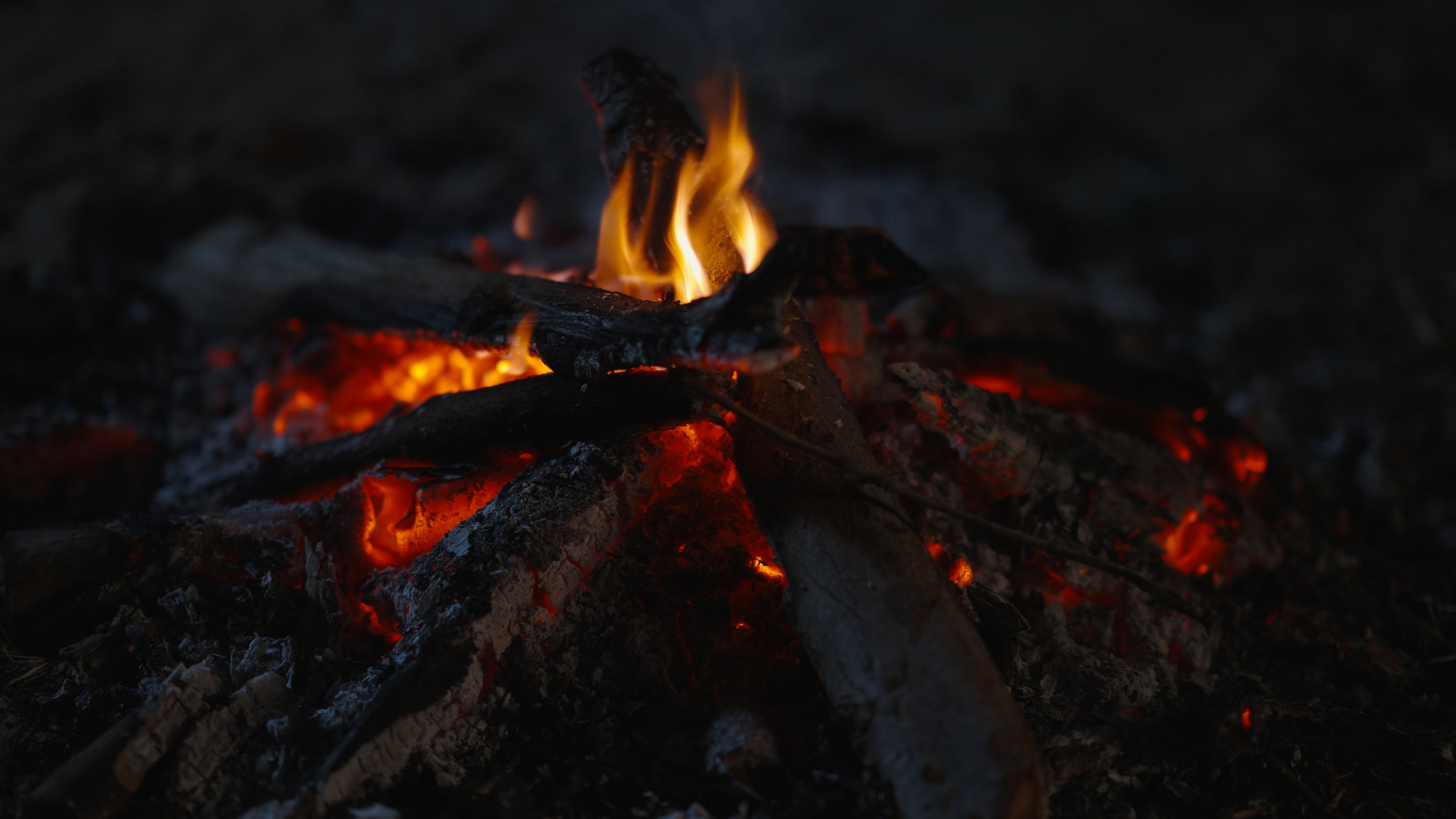 A Soldier Besides Me