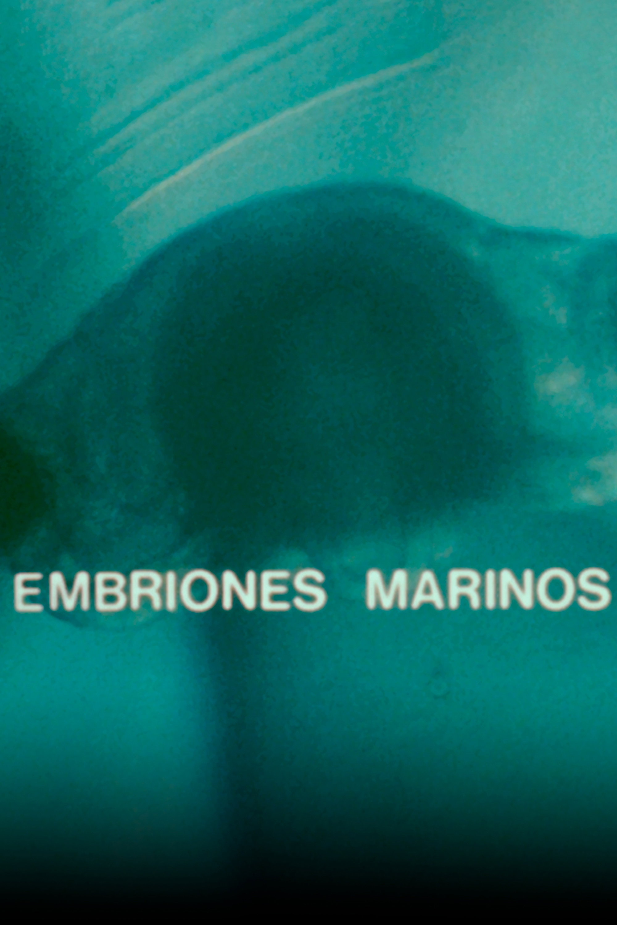 Embriones Marinos Poster