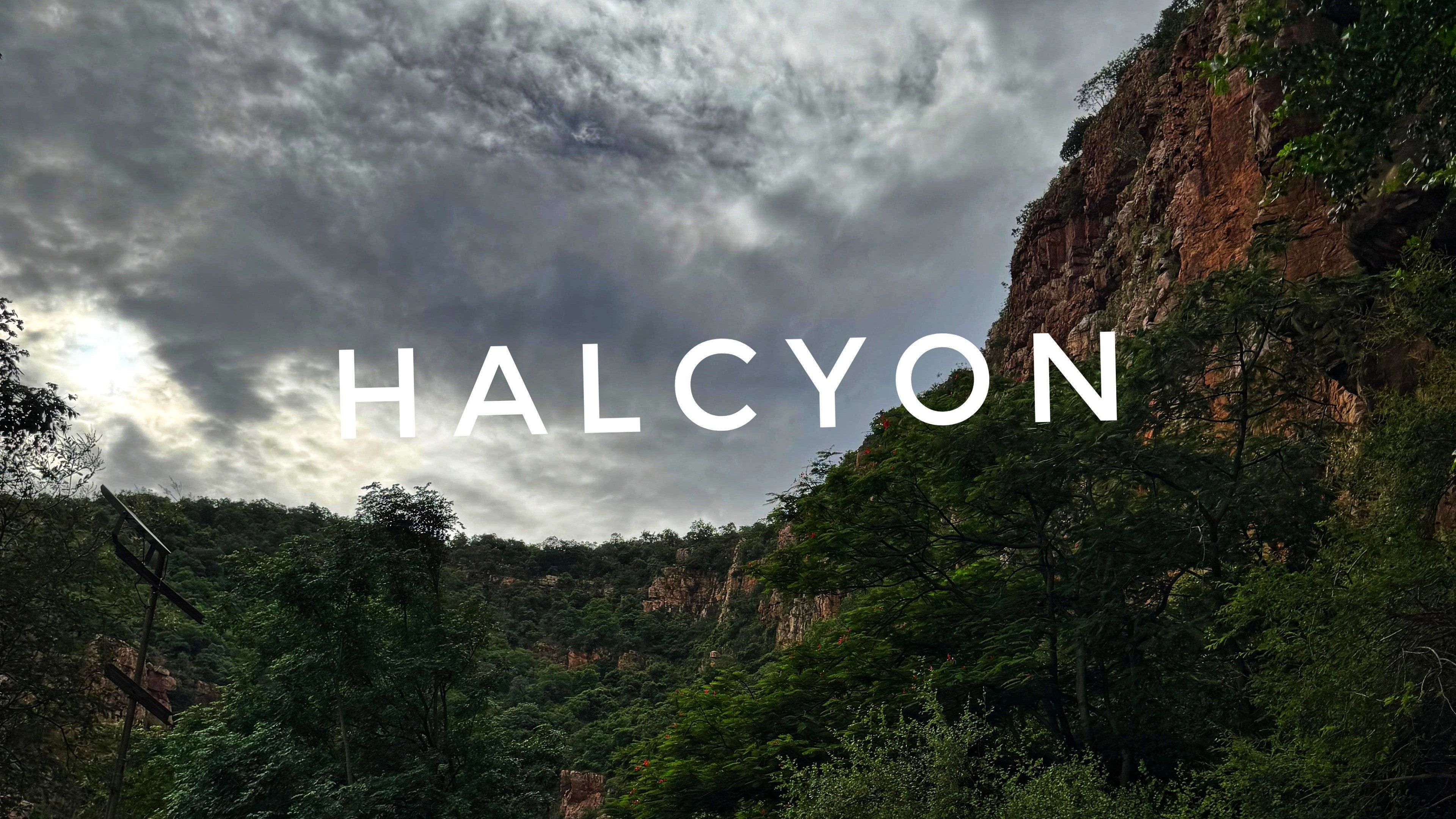 Halcyon
