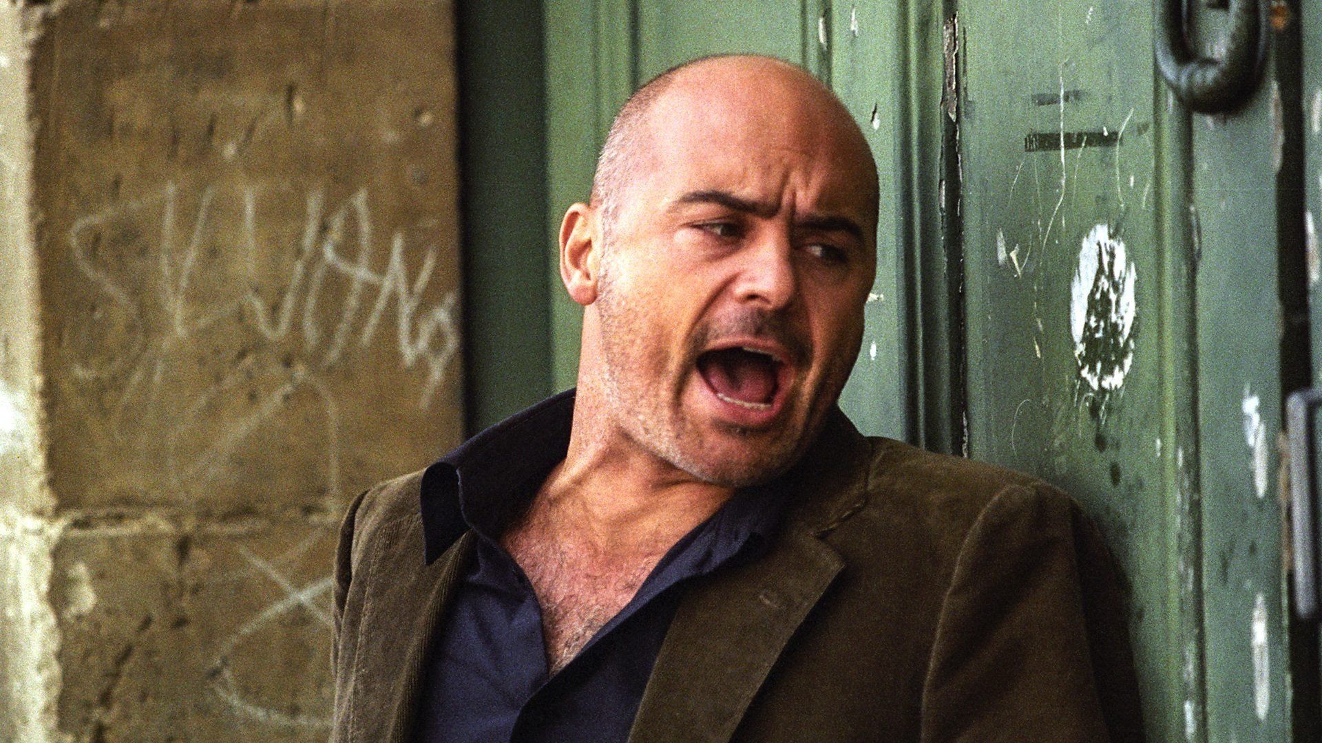 Inspector Montalbano