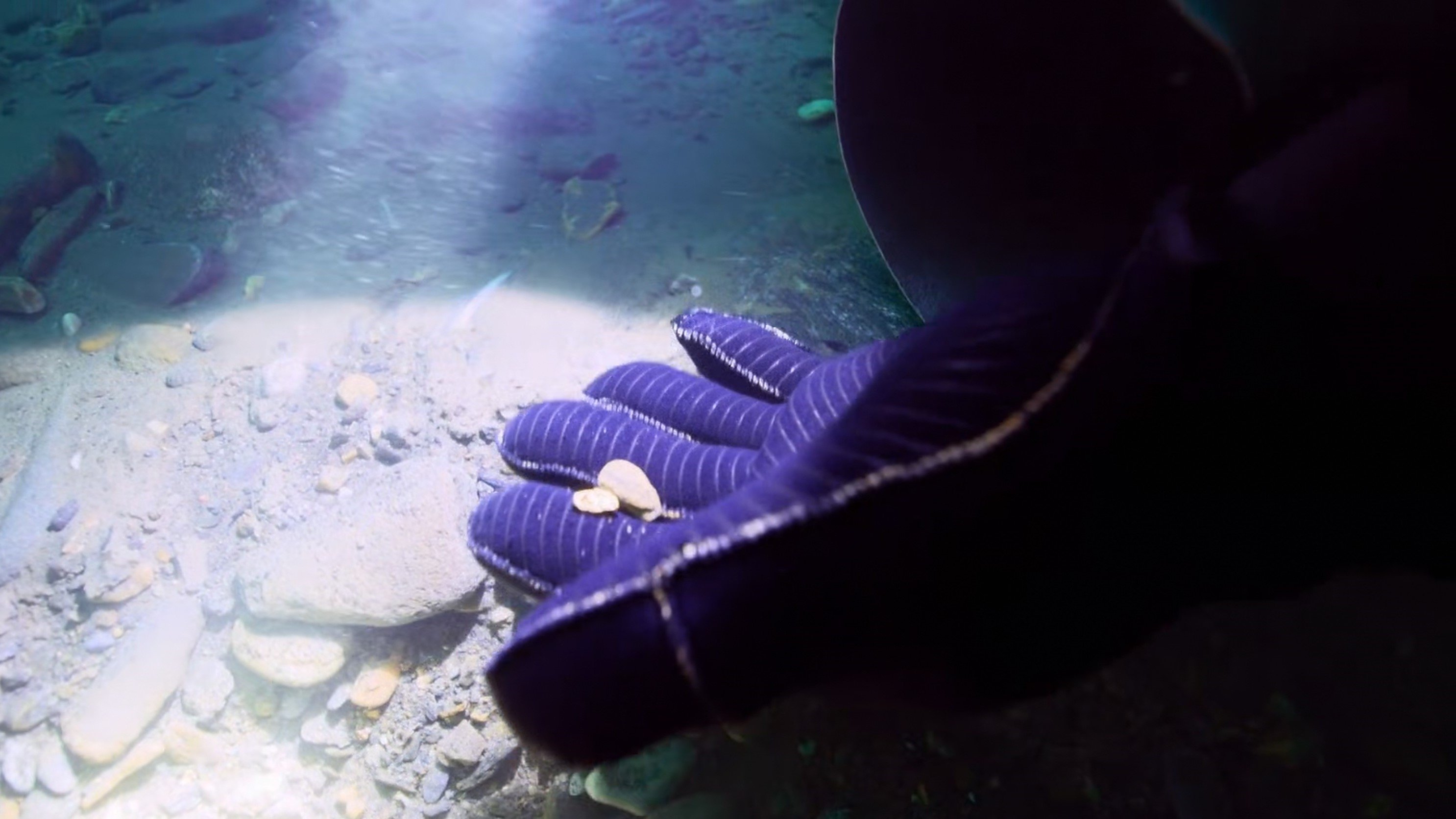 Bering Sea Gold