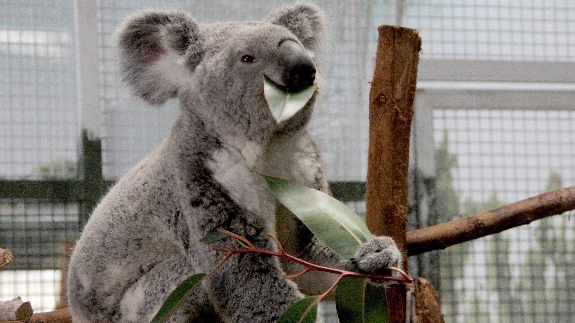 Secrets of the Zoo: Tampa