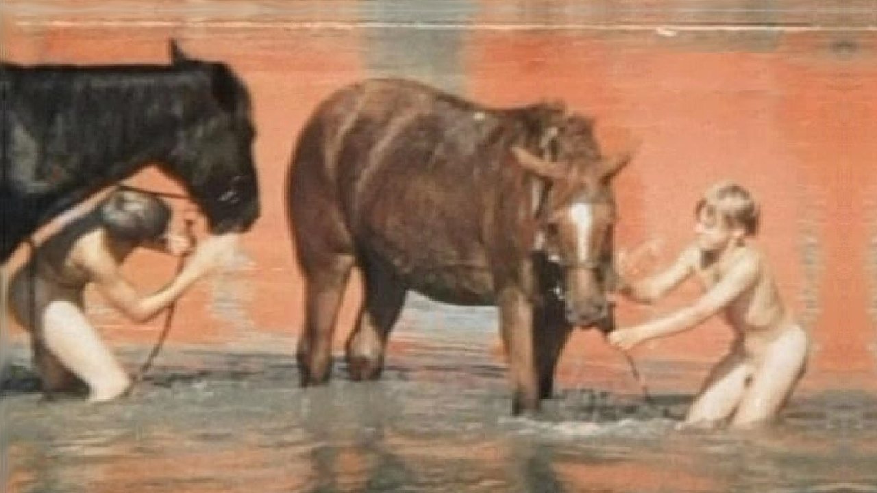 Fiery Childhood (1976)