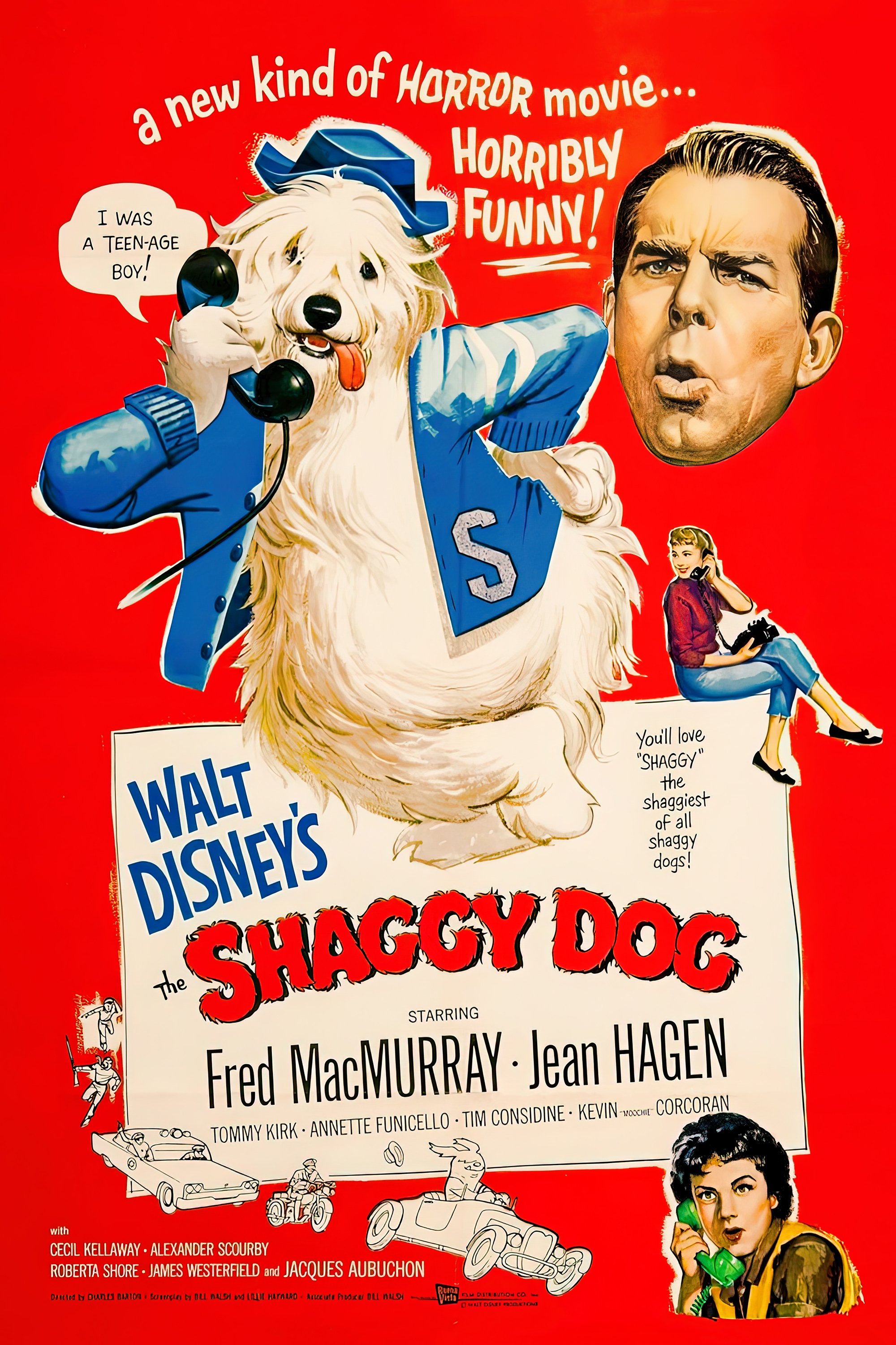 The Shaggy Dog