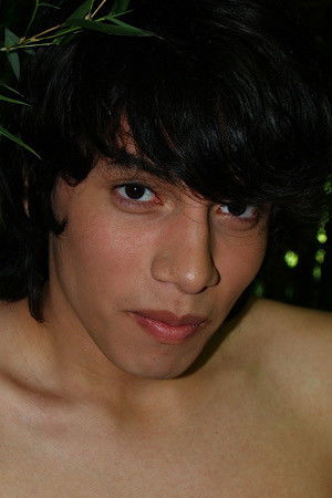 et billede af Anibal