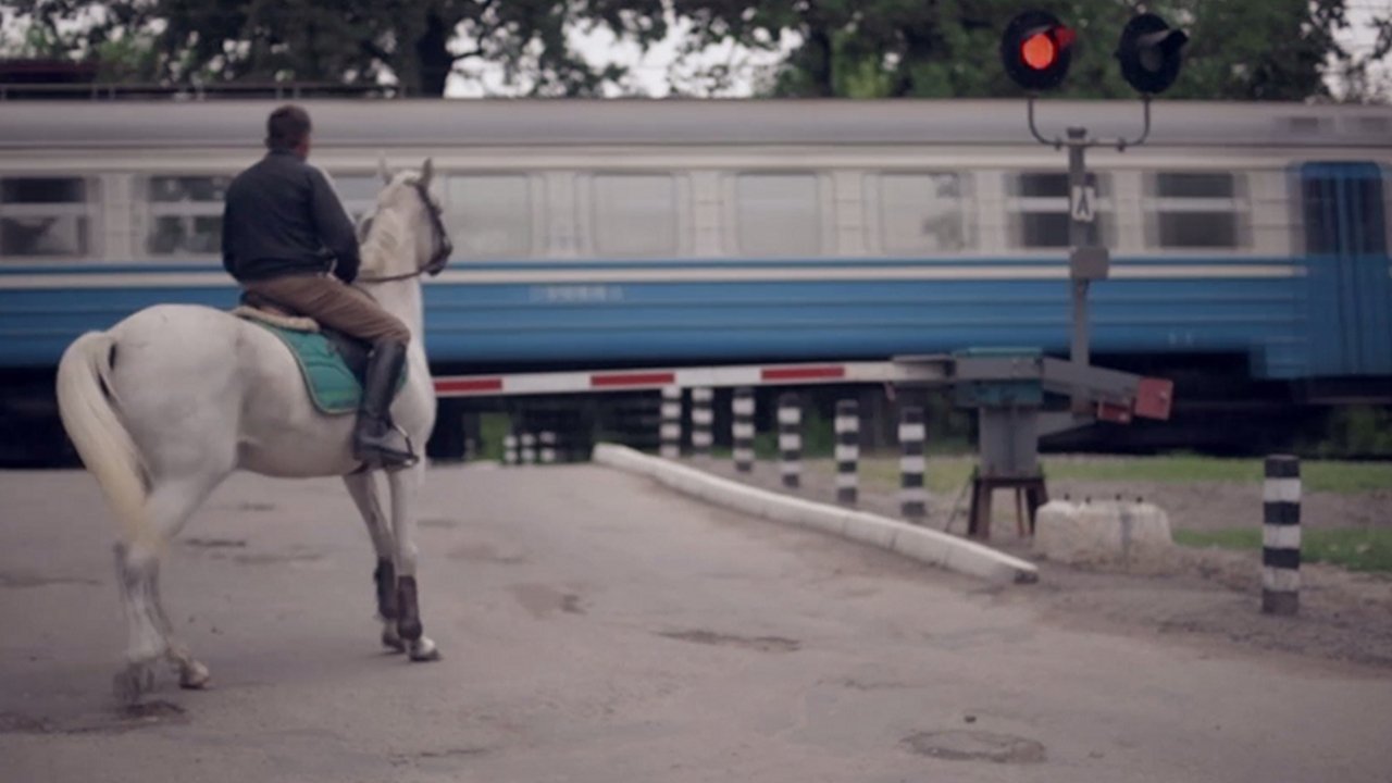 Imagem do Filme Сірі коні