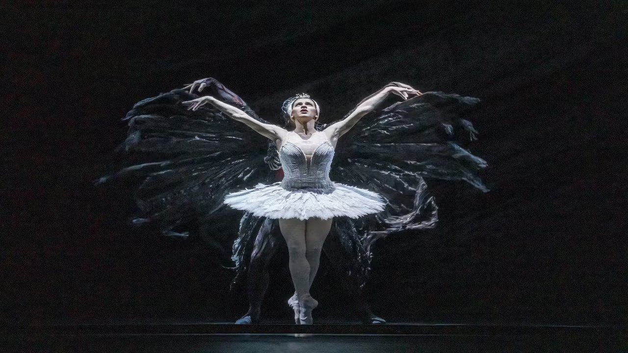 Imagem do Filme Royal Opera House 2023/24: Swan Lake