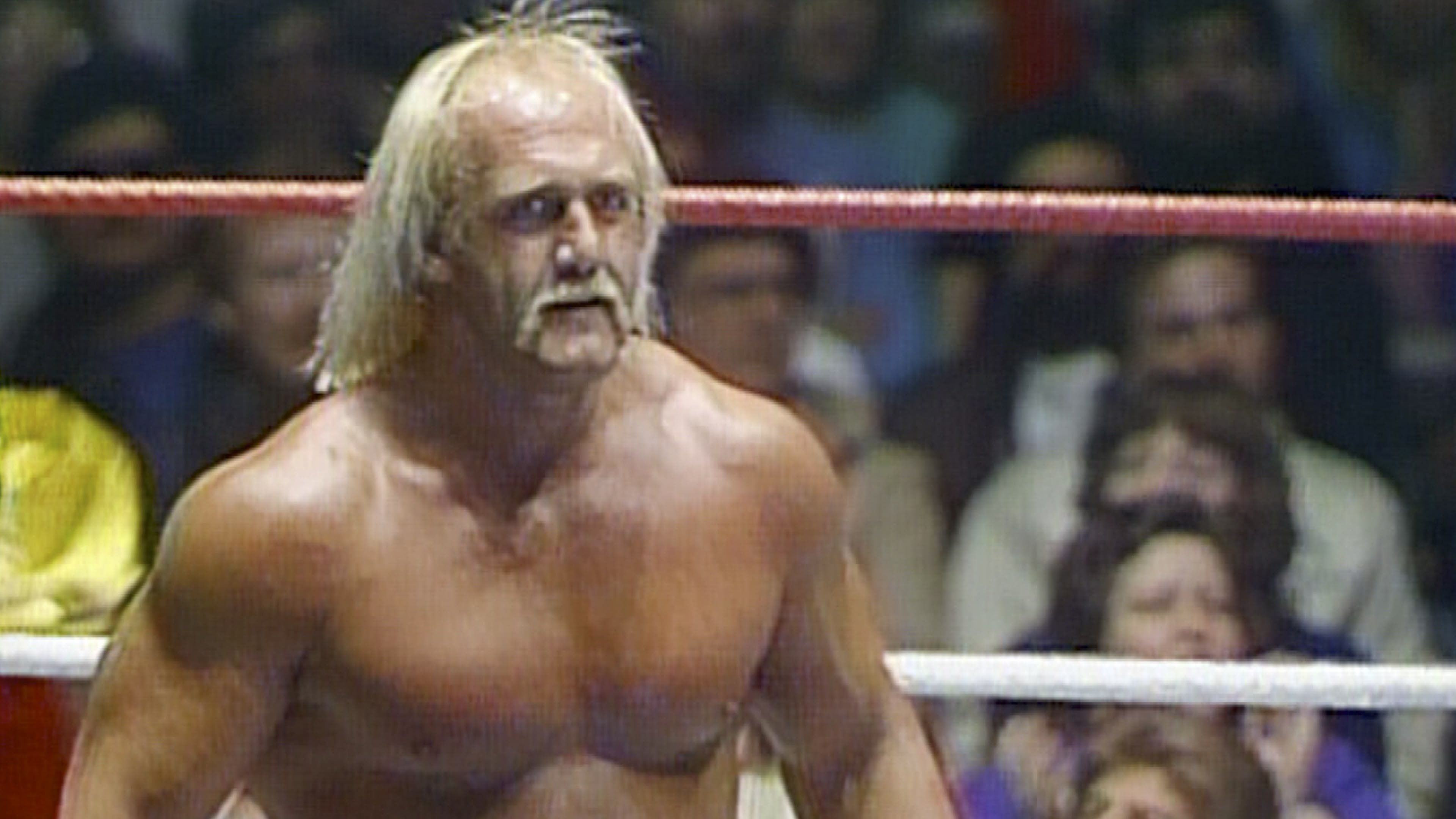 The Hulkster Hulk Hogan